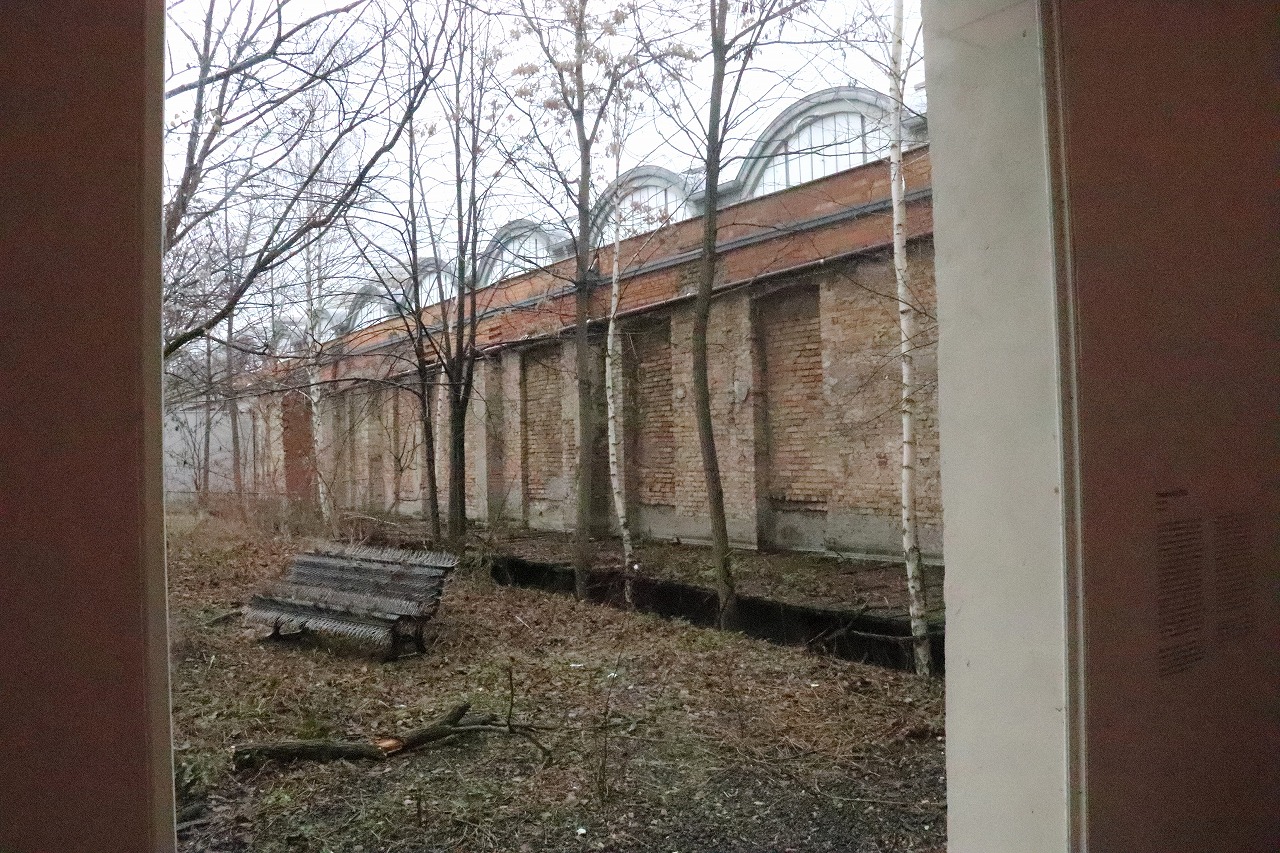 Berlin (41)-s