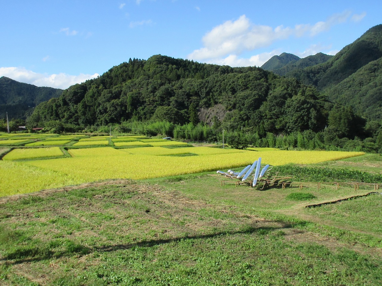 Nakanojo (4)-s